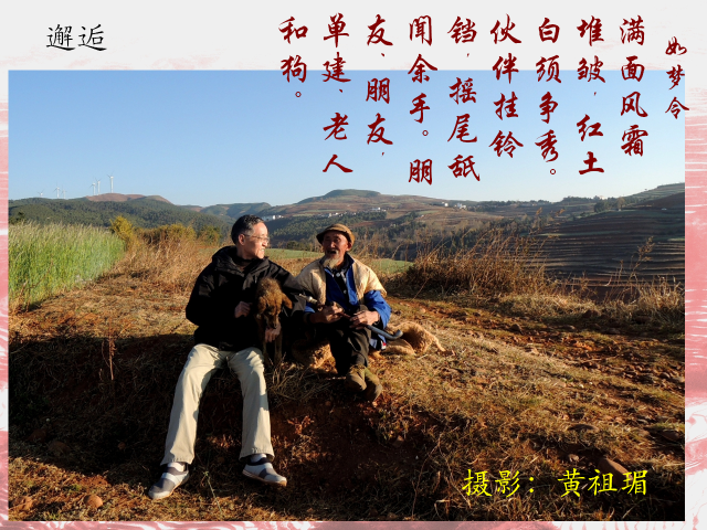 点击查看原图