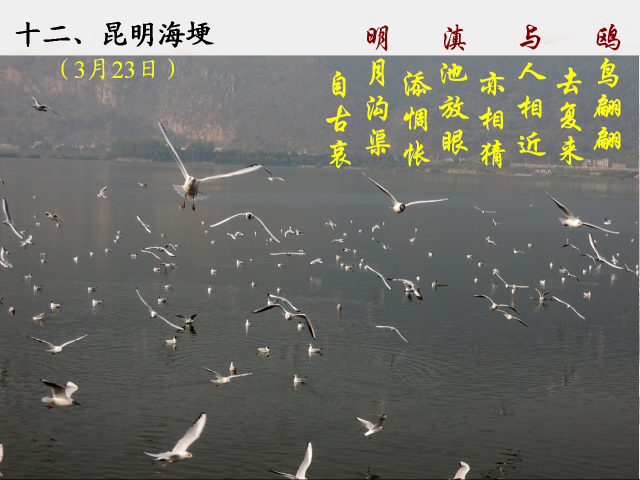 点击查看原图